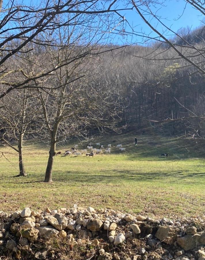 Soko Holiday Home Bihać Eksteriør bilde