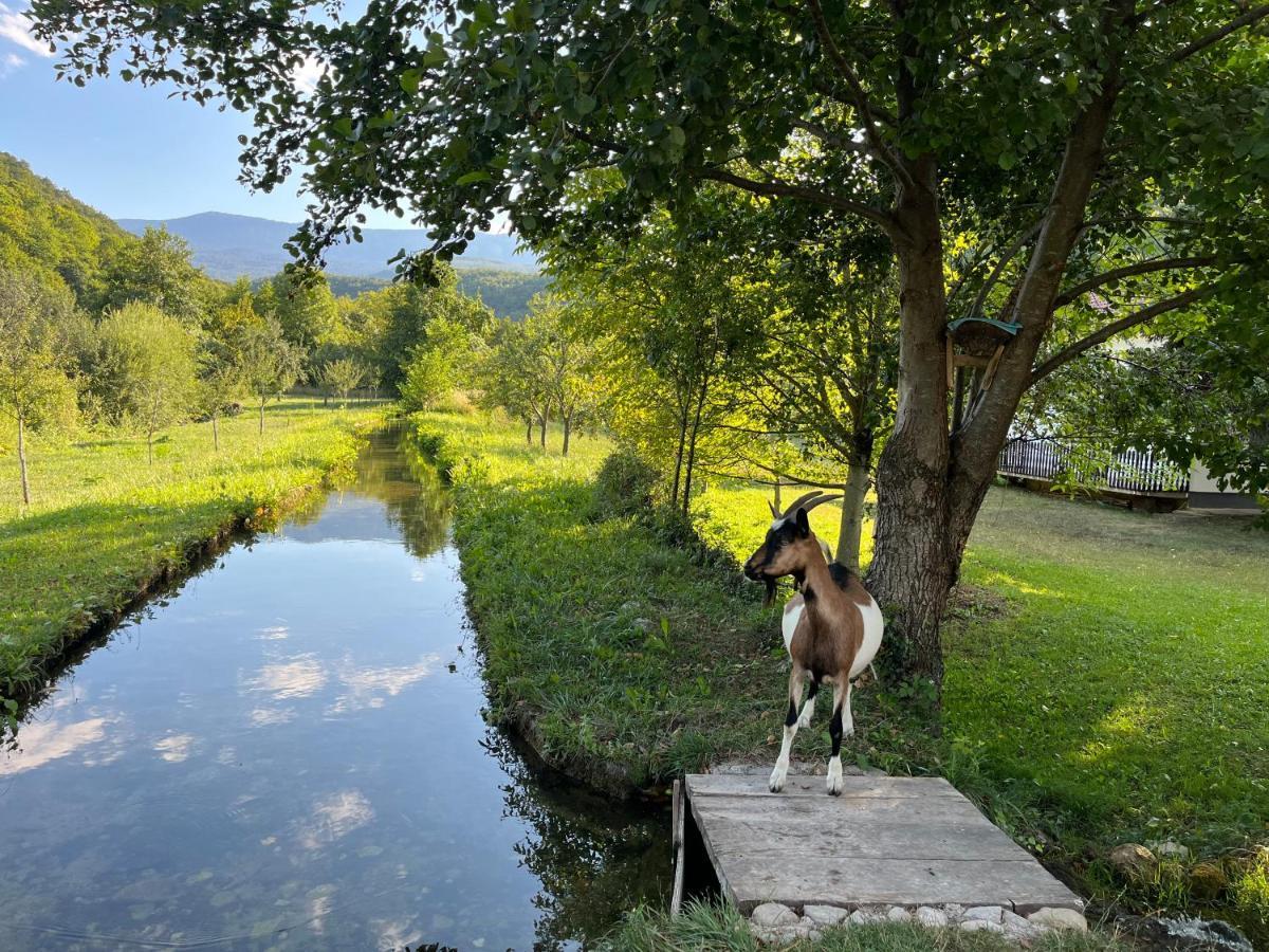 Soko Holiday Home Bihać Eksteriør bilde